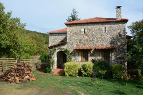 Country Stone House ,next to Kalavrita